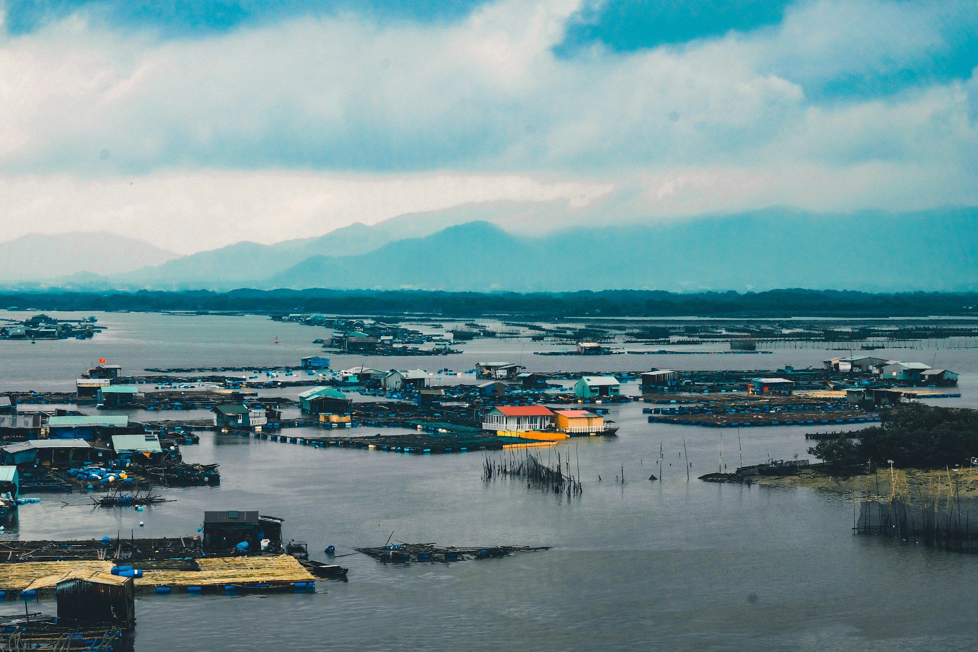 Houses in a flooded area